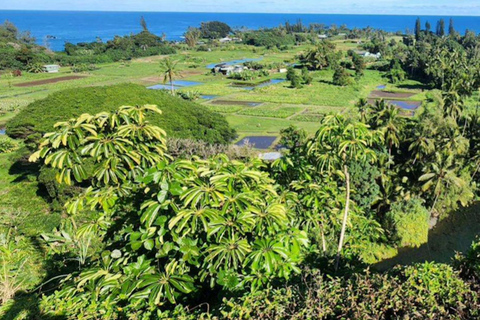 Maui: Open-Air Road to Hāna Jungle Adventure Tour Open-Air! Road to Hana Jungle Adventure Tour! (5.5 Hours)