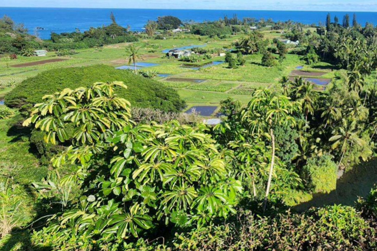 Maui: Open-Air Road to Hāna Jungle Adventure Tour Open-Air! Road to Hana Jungle Adventure Tour! (5.5 Hours)