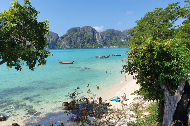 Krabi: The Phi Phi Cove Collector The Essentials