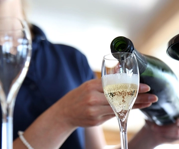 パリ発：シャンパーニュ日帰り旅行（7つの試飲と昼食付き
