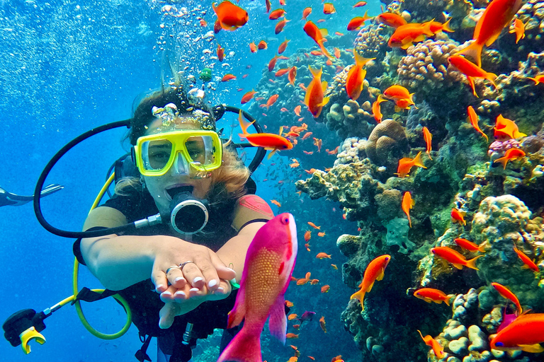 Sharm El Sheikh: Ras Mohamed & White Island Snorkeling trip