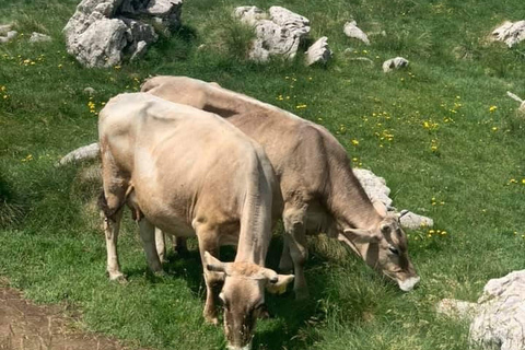Durmitor National Park & Ostrog Monastery Private Tour