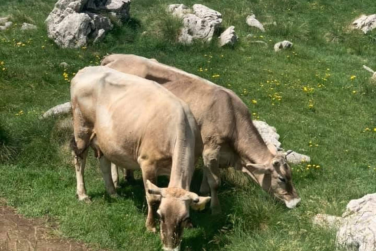 Durmitor National Park & Ostrog Monastery Private Tour