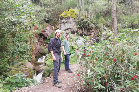 EXPERIENTIAL TOURISM AND FULL DAY MEDICINAL PLANTS CLASSES