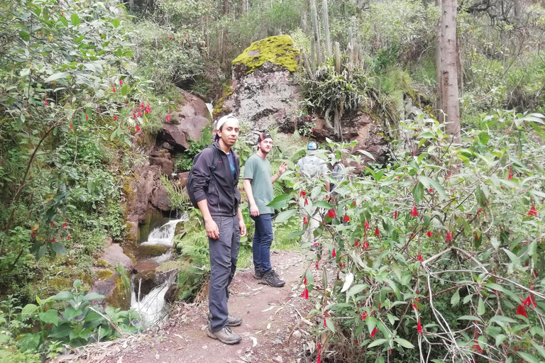 EXPERIENTIAL TOURISM AND FULL DAY MEDICINAL PLANTS CLASSES