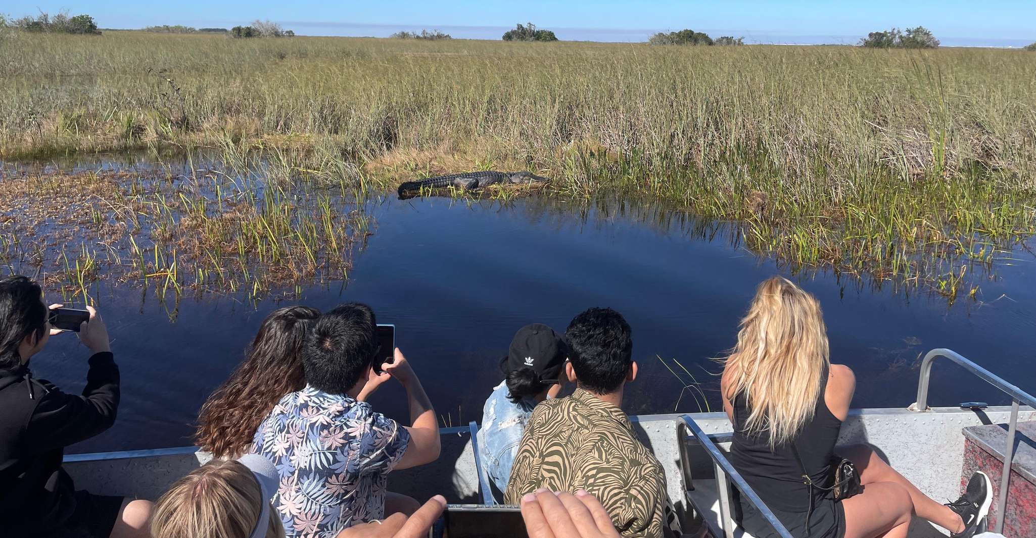 From Miami: Everglades Airboat Gator Spotting Tour photo 15