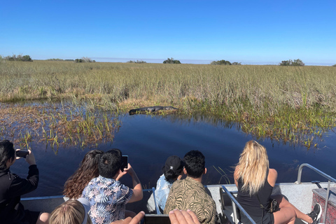 Miami: tour en hidrodeslizador, tour en lancha rápida y tour combinado de esnórquel