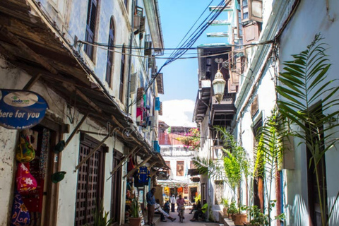 Zanzibar: snorkeling all'Atollo di Mnemba, tour del villaggio e di Stone TownZanzibar: snorkeling all'Atollo di Mnemba, villaggio e Città di Pietra