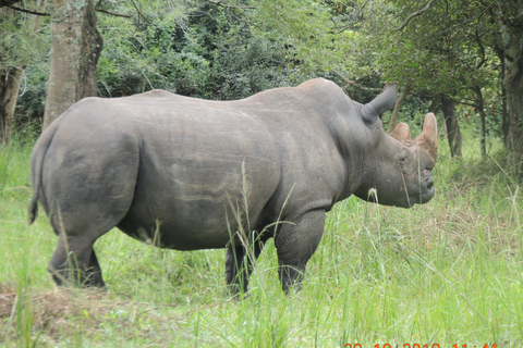 Safari de 3 jours aux chutes Murchison et aux Big 5