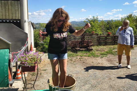 Milan: Oltrepò Pavese Real Grape Stomping,Wine Tasting Lunch