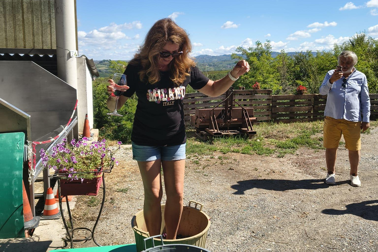 Milan: Oltrepò Pavese Real Grape Stomping,Wine Tasting Lunch