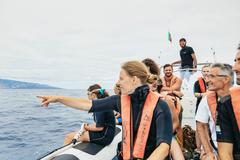 Depuis Funchal : Aventure avec les dauphins en bateau rapide