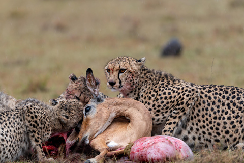 Viaggio di un giorno da Nairobi a Maasai Mara - AWNairobi: Escursione di un giorno nella Riserva Nazionale di Maasai Mara - Privato