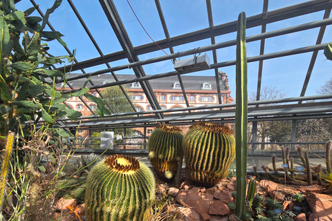 The Ultimate Basel Garden Tour