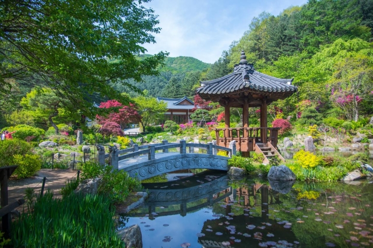 Wyspa Nami, koreański ogród porannego spokoju i roweru kolejowegoZe stacji Myeongdong: tylko wyspa Nami i ogród