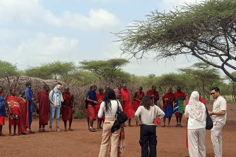 Nairobi: Amboseli National Park Day Trip with Lunch Luxury Landcruiser Option