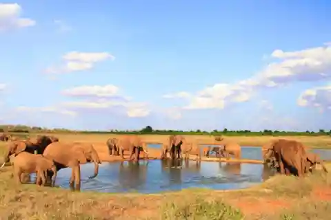 1 Day Tsavo East National Park, Wildlife Safari- Kenya