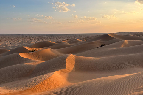 Salalah: Empty Quarter Desert Adventure to Hashman Dunes