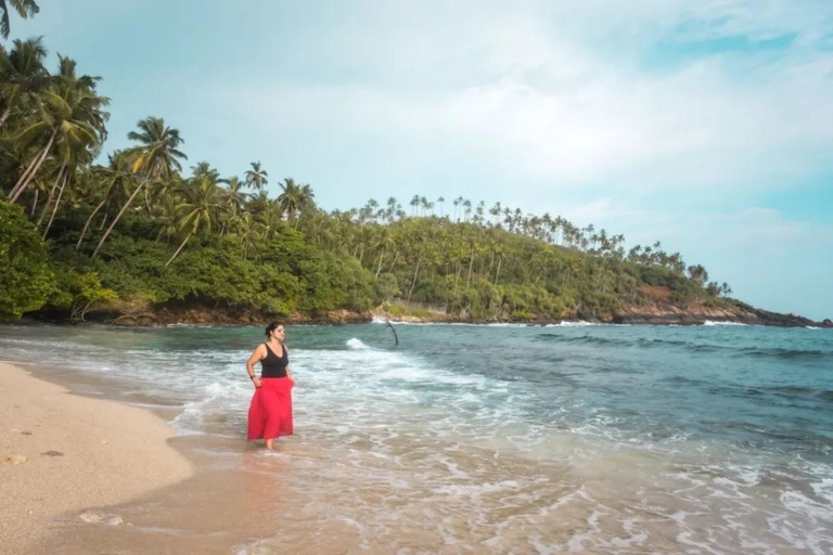 Hiriketiya: Mirissa Beach & Whale Watching Day Trip