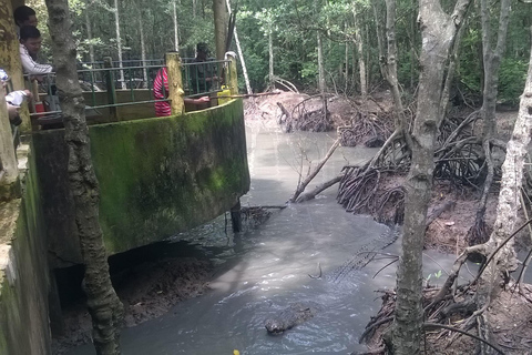 Från Ho Chi Minh: Privat Can Gio-Vam Sat mangroveskog