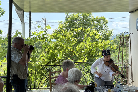 تبليسي: رحلة ليوم واحد إلى كاخيتي مع غداء عائلي وتذوق النبيذ