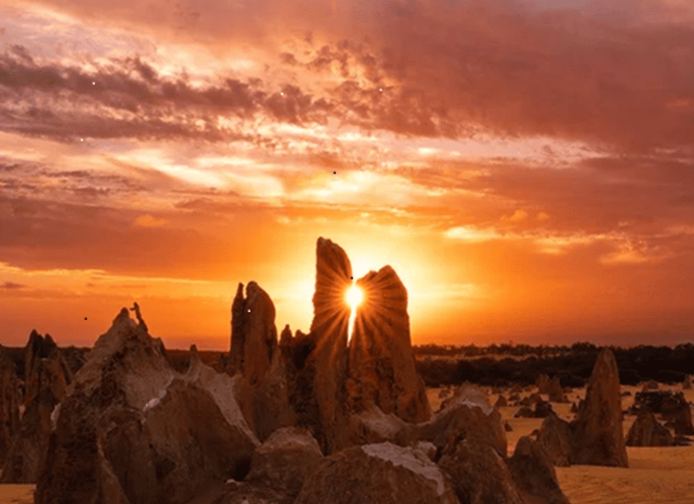 Perth: Solnedgang i Pinnacles-ørkenen og stjernekiggeri med middag