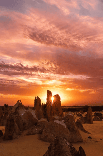 Perth: Pinnacles Desert Sunset & Stargazing with Dinner