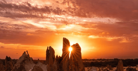 Perth: Pinnacles Desert Sunset & Stargazing with Dinner