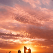 Perth: Pinnacles Desert Sunset & Stargazing with Dinner