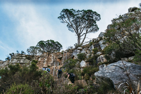 Cape Town: Lion's Head Sunrise or Sunset Hike