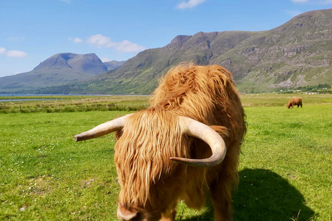 爱丁堡：私人斯特灵城堡与洛蒙德湖一日游