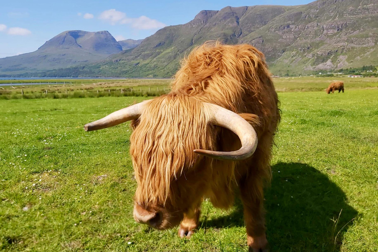 爱丁堡：私人斯特灵城堡与洛蒙德湖一日游