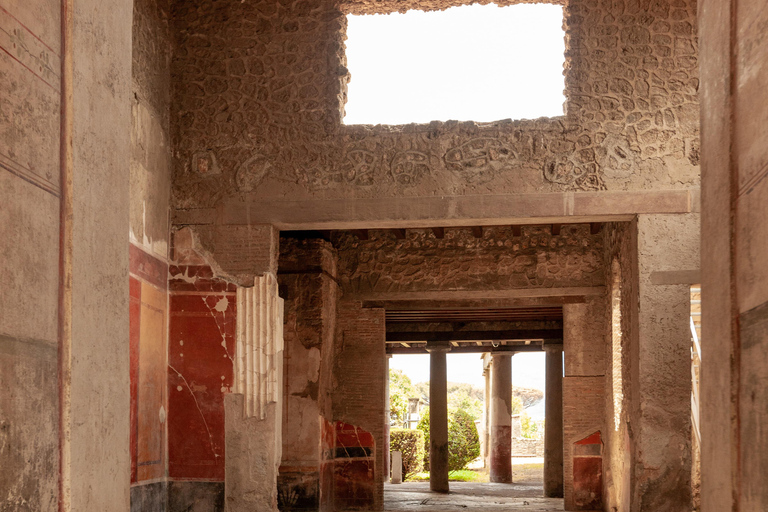 Pompei Guided Tour in Shared Formula Pompei Guided Tour (Sharing Formula- No Ticket Included)