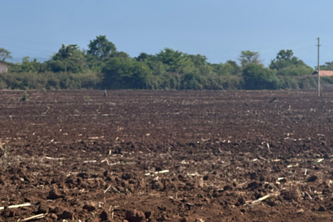 Moshi/Arusha: Chemka Hot Springs Materuni Waterfall Day tour 2 in 1 : Materuni & Chemka tour from Moshi