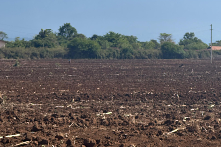 Moshi/Arusha: Chemka Hot Springs Materuni Waterfall Day tour 2 in 1 : Materuni & Chemka tour from Moshi