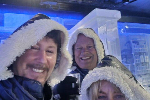 Stockholm Stadt: Besuch der Icebar und des Vasamuseums