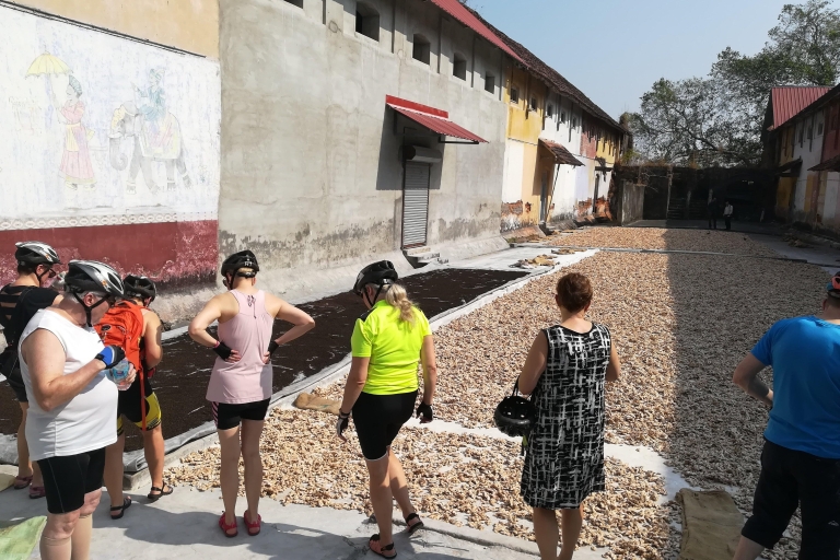 Visita al Fuerte de Kochi y al pueblo de Kumbalangi (Día completo)Recorrido en ebike por Fort Kochi