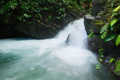 From São Paulo: Oyster Trail and My God Waterfall