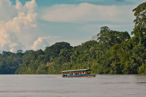 Puerto Maldonado: 6-Day Amazon Tour with Sandoval Lake