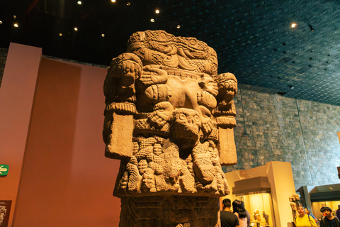 Mexico City: Anthropology Museum Art Tour with Guide