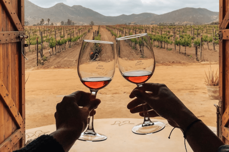 Ensenada: Valle de Guadalupe Wine Tasting Tour