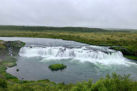 De Reykjavík: visite du Cercle d'or et de la ferme laitière