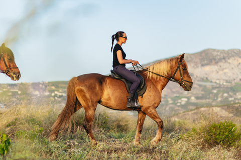 Heraklion: Finikia Horse Riding Tour with Lunch or Dinner