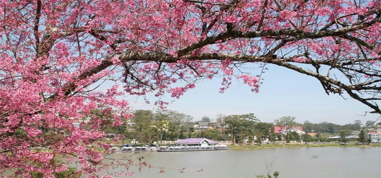 Von Nha Trang aus: Best Seller Top Site Luxury Da Lat City Trip