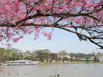 From Nha Trang: Best Seller Top Site Luxury Da Lat City Trip
