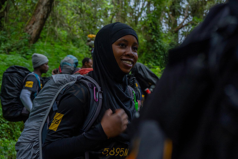 Moshi: Kilimanjaro Day Trip – Londorossi Gate hike to Shira