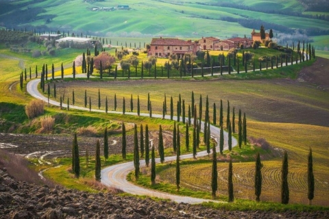 Pienza en Montepulciano: wijntocht van hele dagTour in het Italiaans