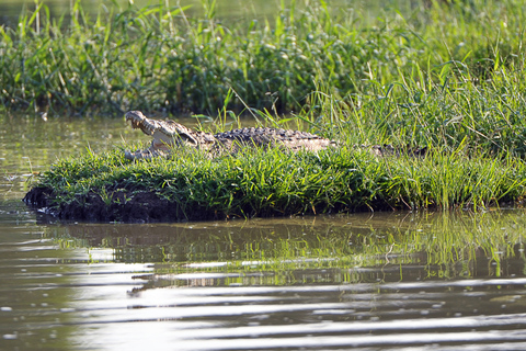 3-Day Private Tour: Sigiriya, Dambulla, Ella With Train Tour