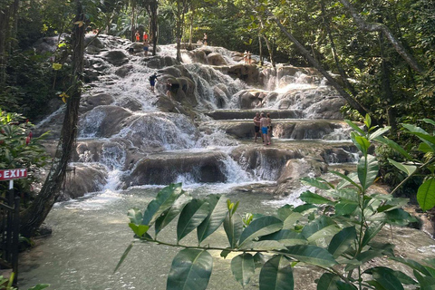 Visite privée de la rivière Dunns et du trou bleu au départ de Montego Bay