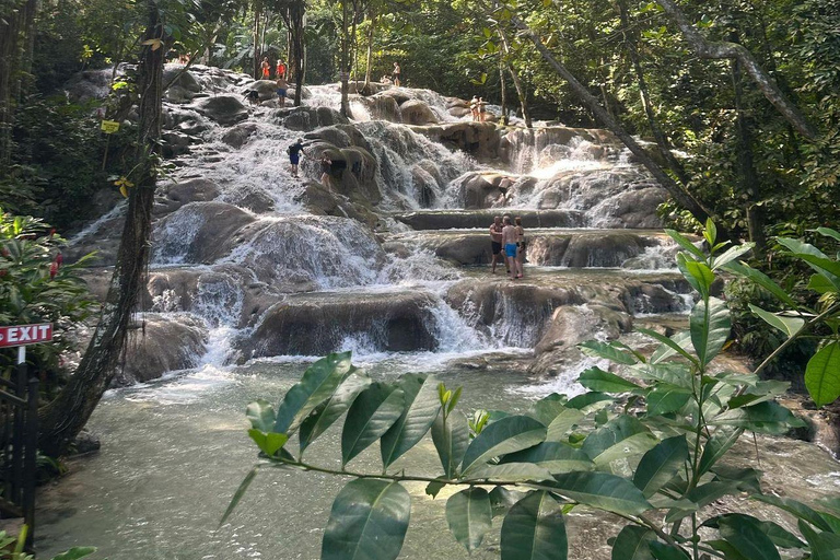 Visite privée de la rivière Dunns et du trou bleu au départ de Montego Bay